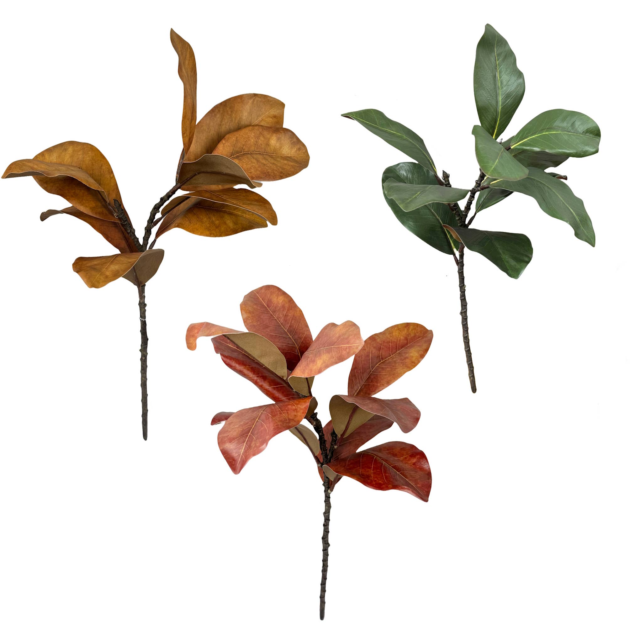 Angel Isabella - Vente Fleurs artificielles - Tige de magnolia ultra réaliste Real Touch de 22" - 10 feuilles9