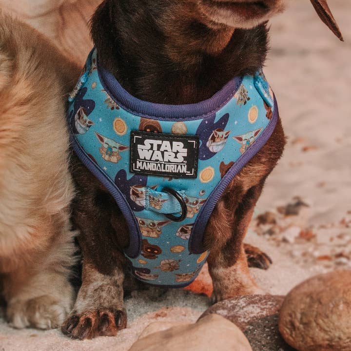 SASSY WOOF - Wholesale Pet Harness - Dog - Dog Adjustable Harness - STAR WARSâ„¢ The Mandalorianâ„¢