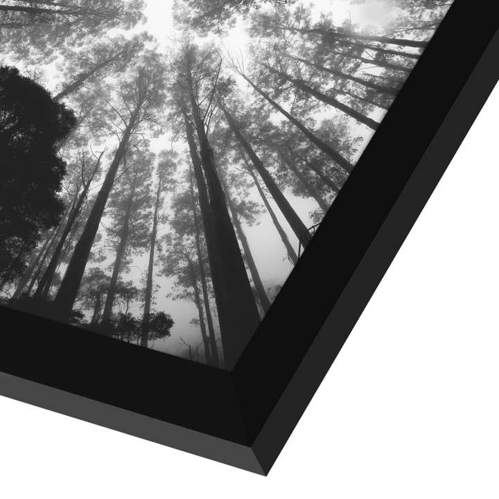 Americanflat - Wholesale Picture Frame - Americanflat Poster Frame with Wide Molding165