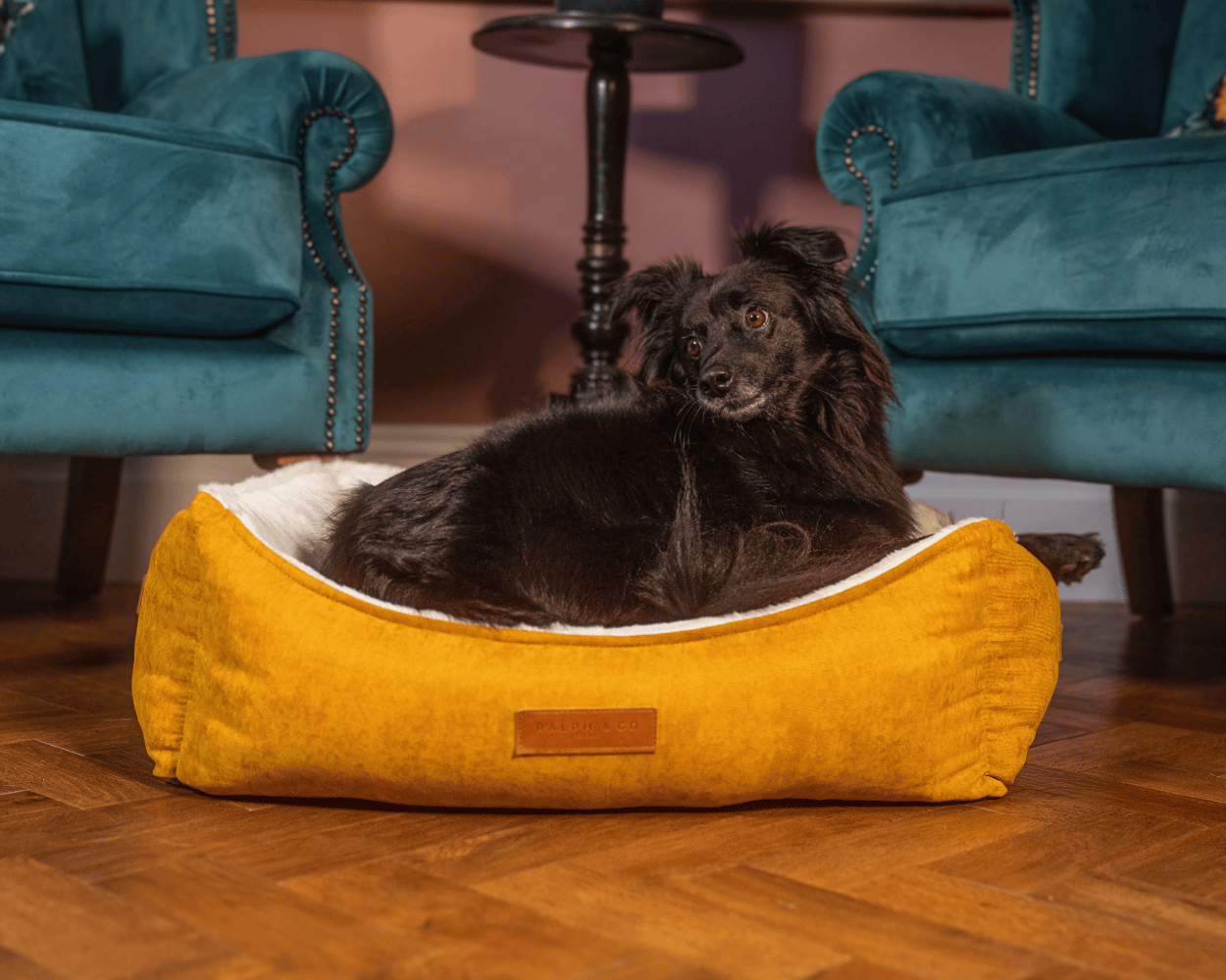 Ralph & Co – wholesale Pet bed – Dog – Luxury Velvet Dog Bed With Removable Covers | Sandringham6