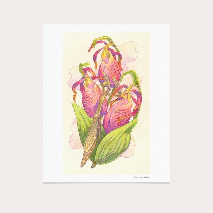 Stampa d'arte: Nor'Easter Mantis: 8 x 10 pollici. per la vendita all'ingrosso da parte di KL Bierman