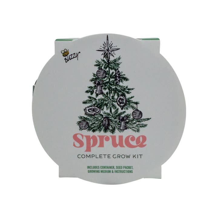 Buzzy Seeds Grow Gifts - Wholesale Plant Seeds - Galvanized Mini Basin Spruce Grow Kit – Holiday Plant Gift1