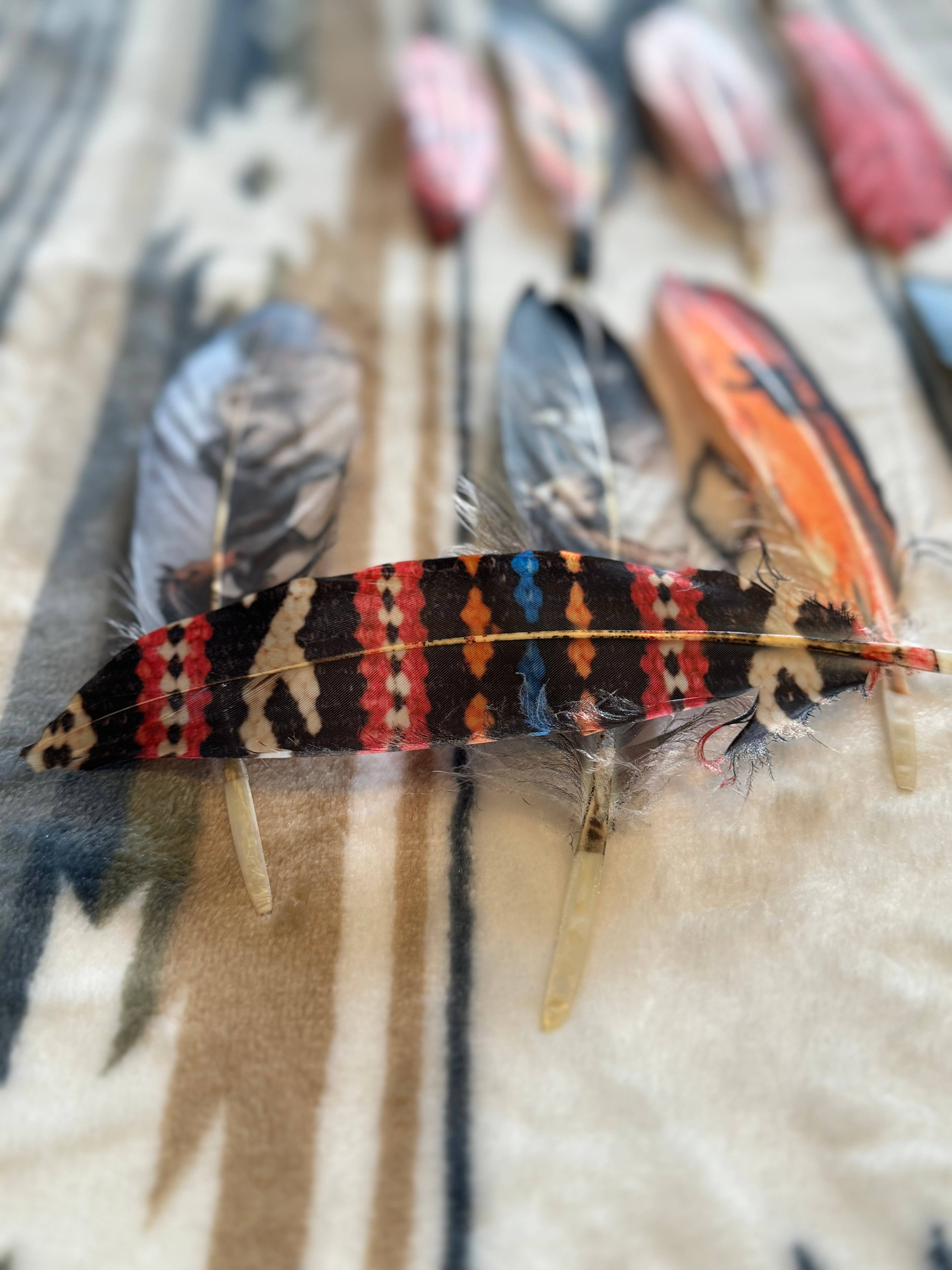 Buckaroo Supply Company - Wholesale Hat Accessory - Women's - Dream Weaver Hat Feather - Western Hat Accessory 3