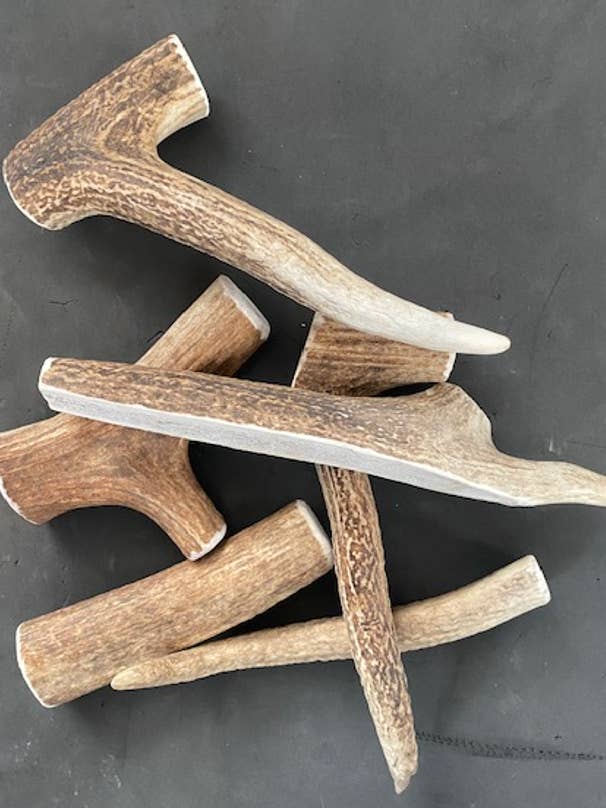 Corna di Cervo da Masticare per Cani per la vendita all'ingrosso da parte di Sawtooth Antler Chews