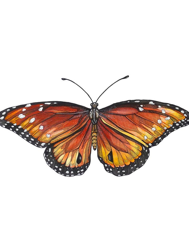 T-shirts | Danaus Gilippus door Irene Meniconi voor wholesale door Respira