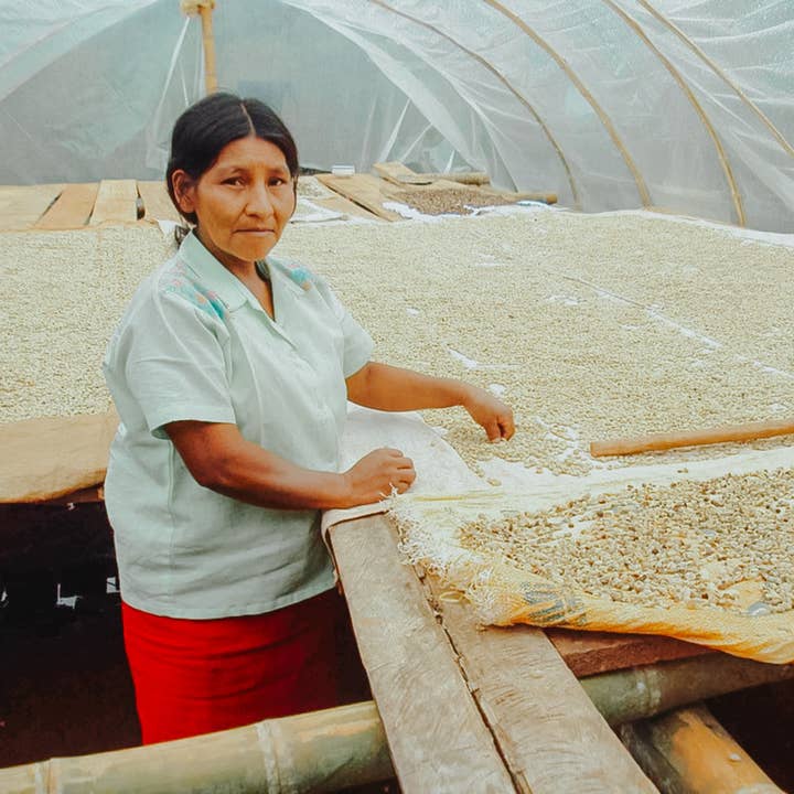 Ferris Coffee & Nut Co. - Wholesale Coffee Beans - Colombia FTO Cafe Femenino (Whole Bean) 10 oz.7