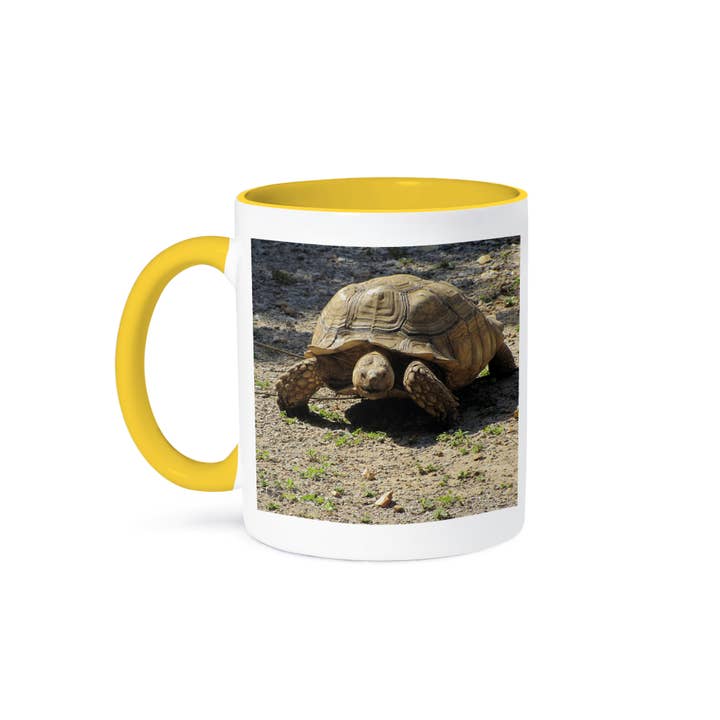3dRose - Wholesale Coffee Mug - 3dRose, Giant Turtle, Mug