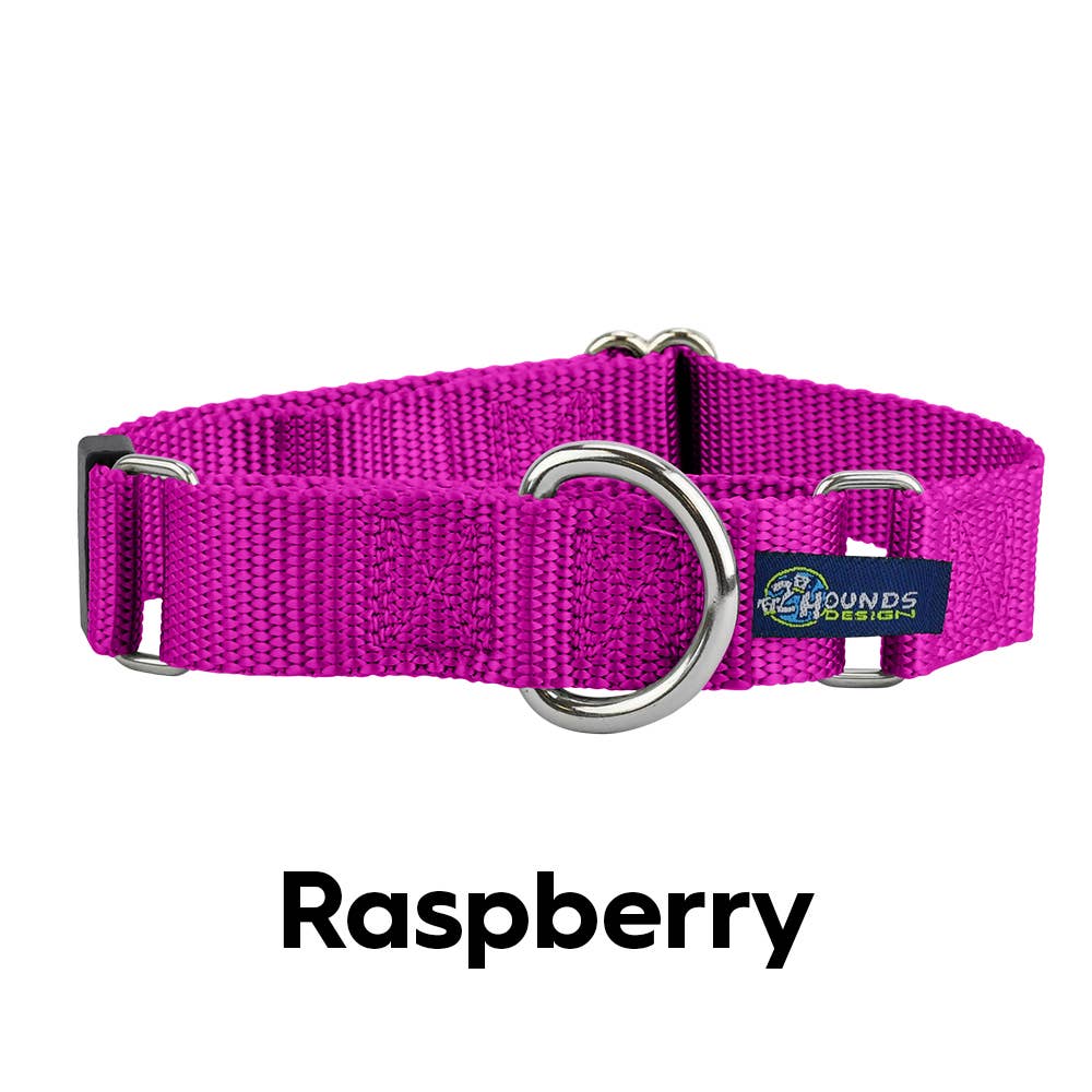 2 Hounds Design - Wholesale Pet Collar - Dog - 5/8" and 1" Martingale Nylon Dog Collar17