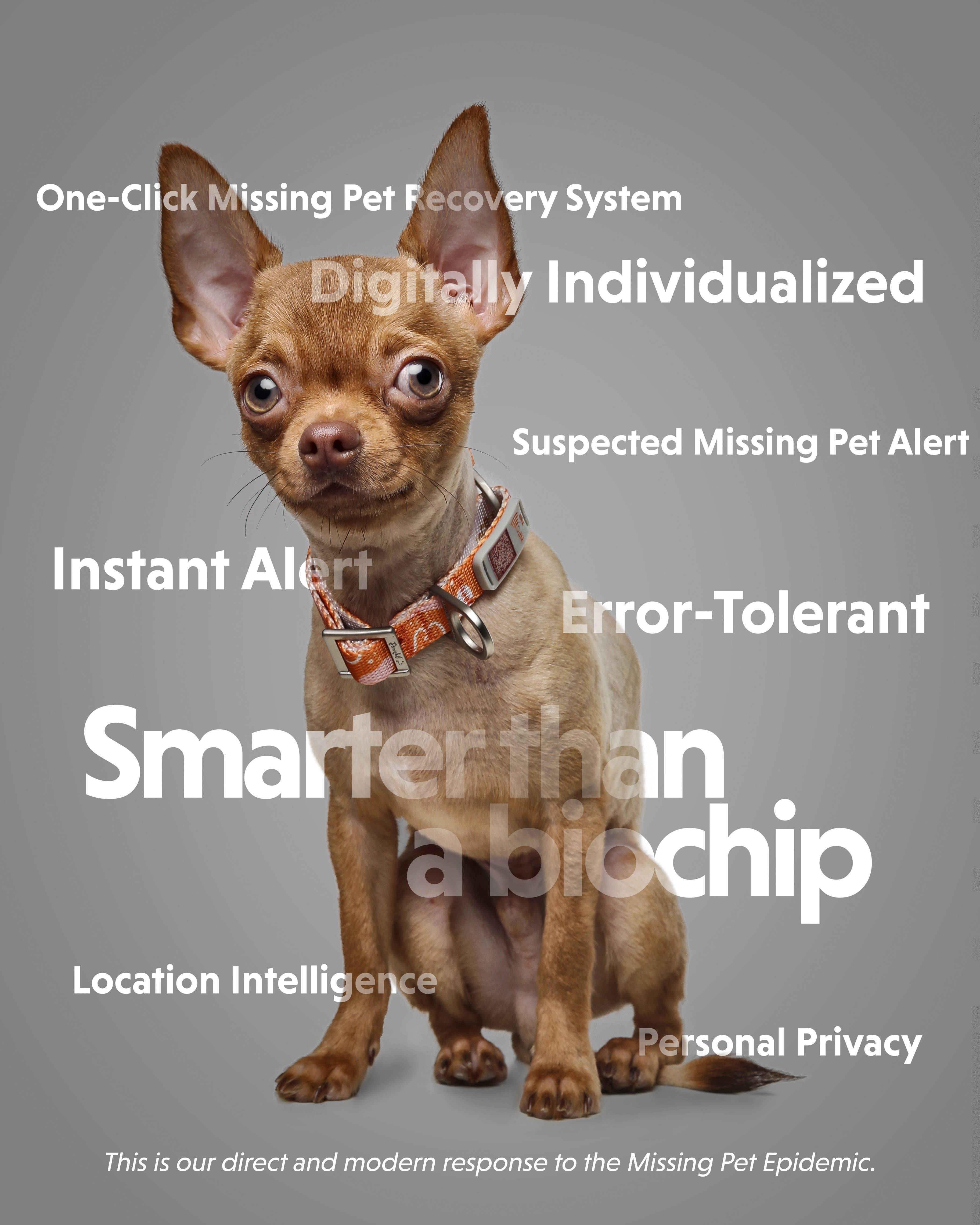 Pawnec - Wholesale Pet Collar - Cat/Dog - NeoCollar14