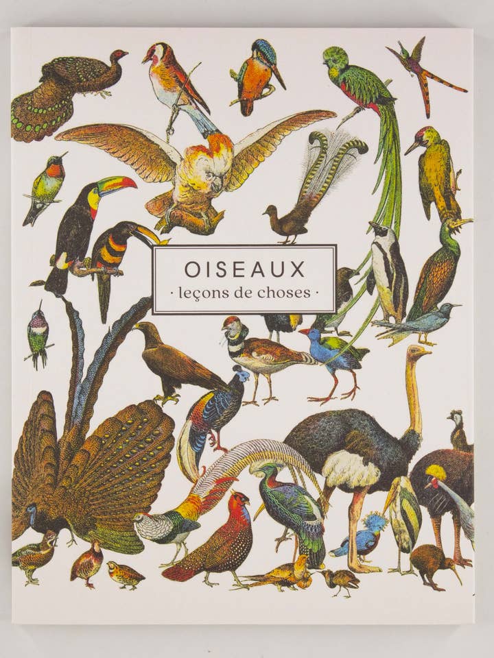 Notebook "Birds" for wholesale by Les Jolies Planches