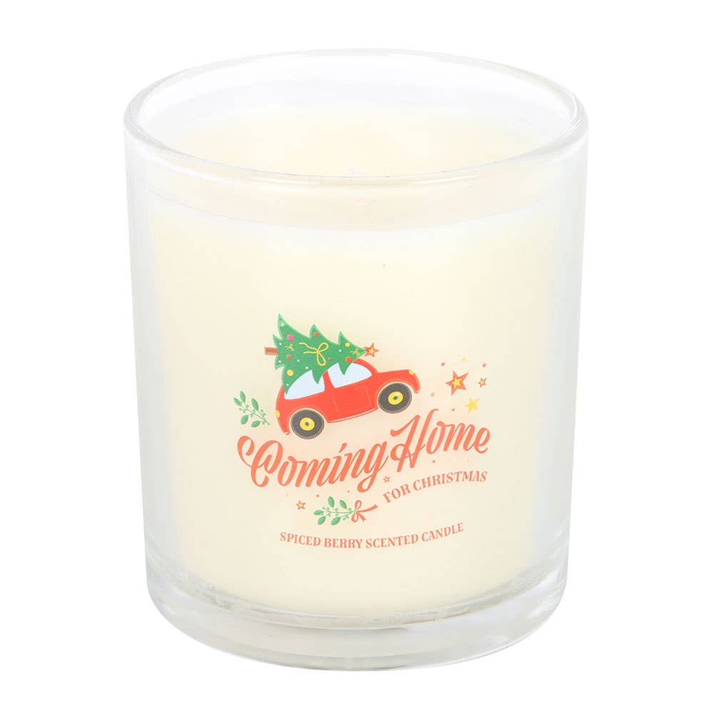 Something Different Wholesale - Wholesale Jar/filled candle - Coming Home for Christmas Spiced Berry Candle2
