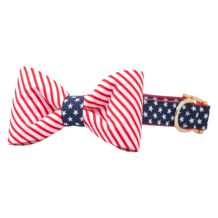 'Merica Bow Tie Dog Collar for wholesale by Crew LaLa