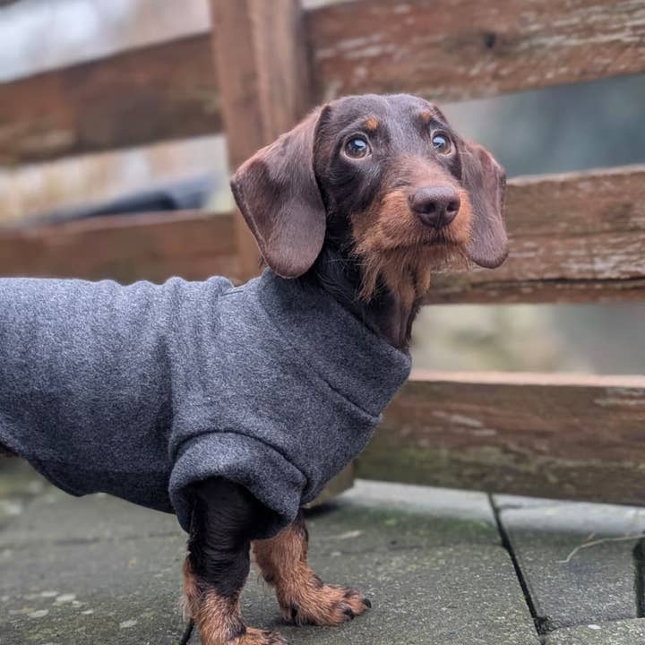 Antracitgrå bomullsfleece hundtröja för wholesale av Dachshund Couture