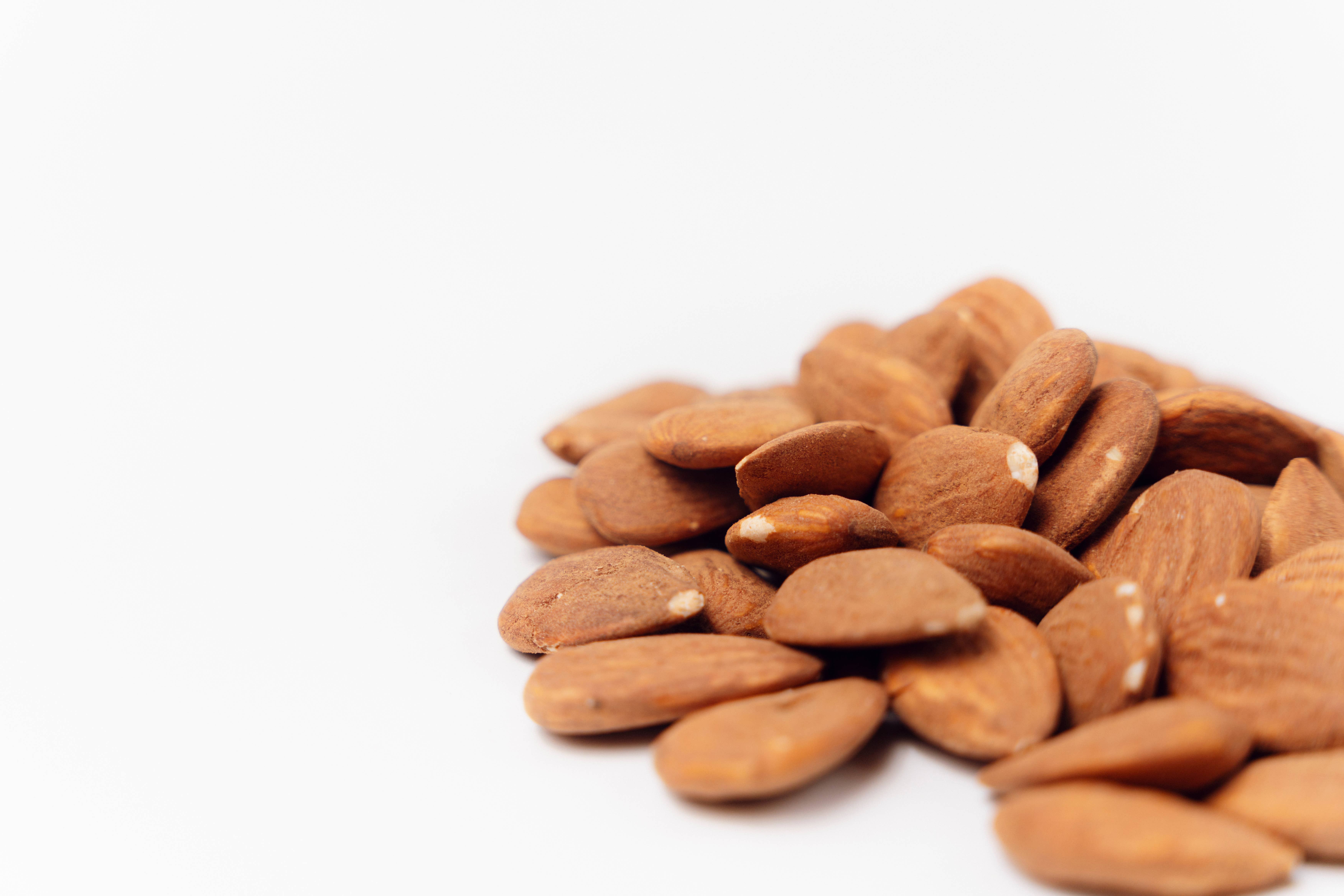 Agnellini Int Srl - Wholesale Nuts - 100% Italian organic natural peeled almonds 1.5kg1