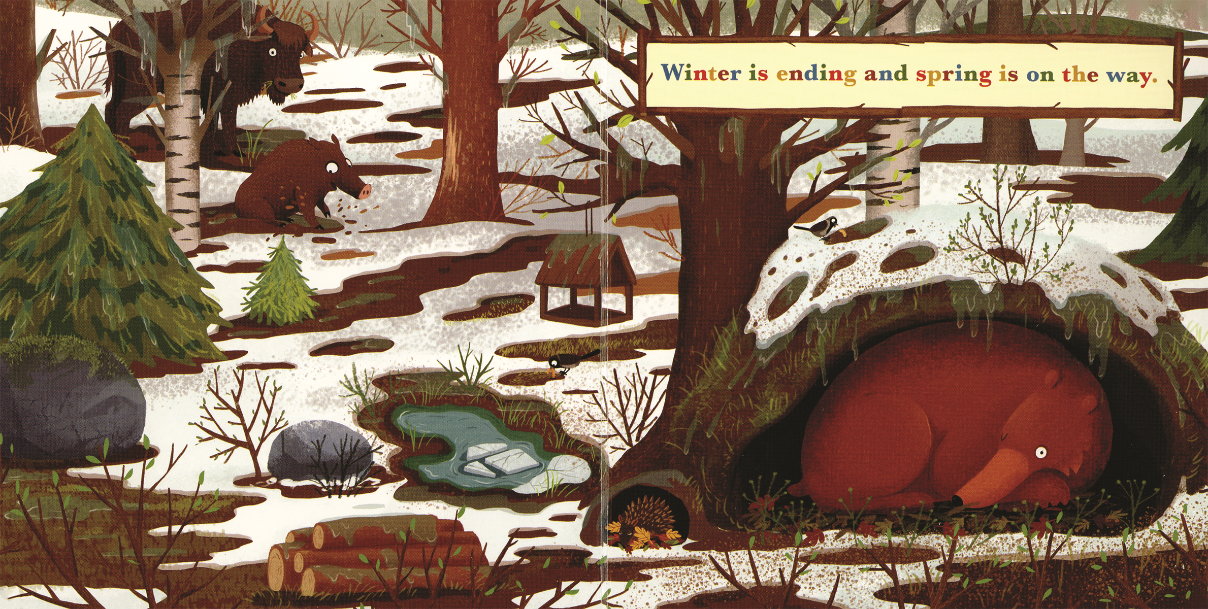 EDC Publishing - Wholesale Baby & Toddler Book (0-2) - A Year in the Forest with Bear1