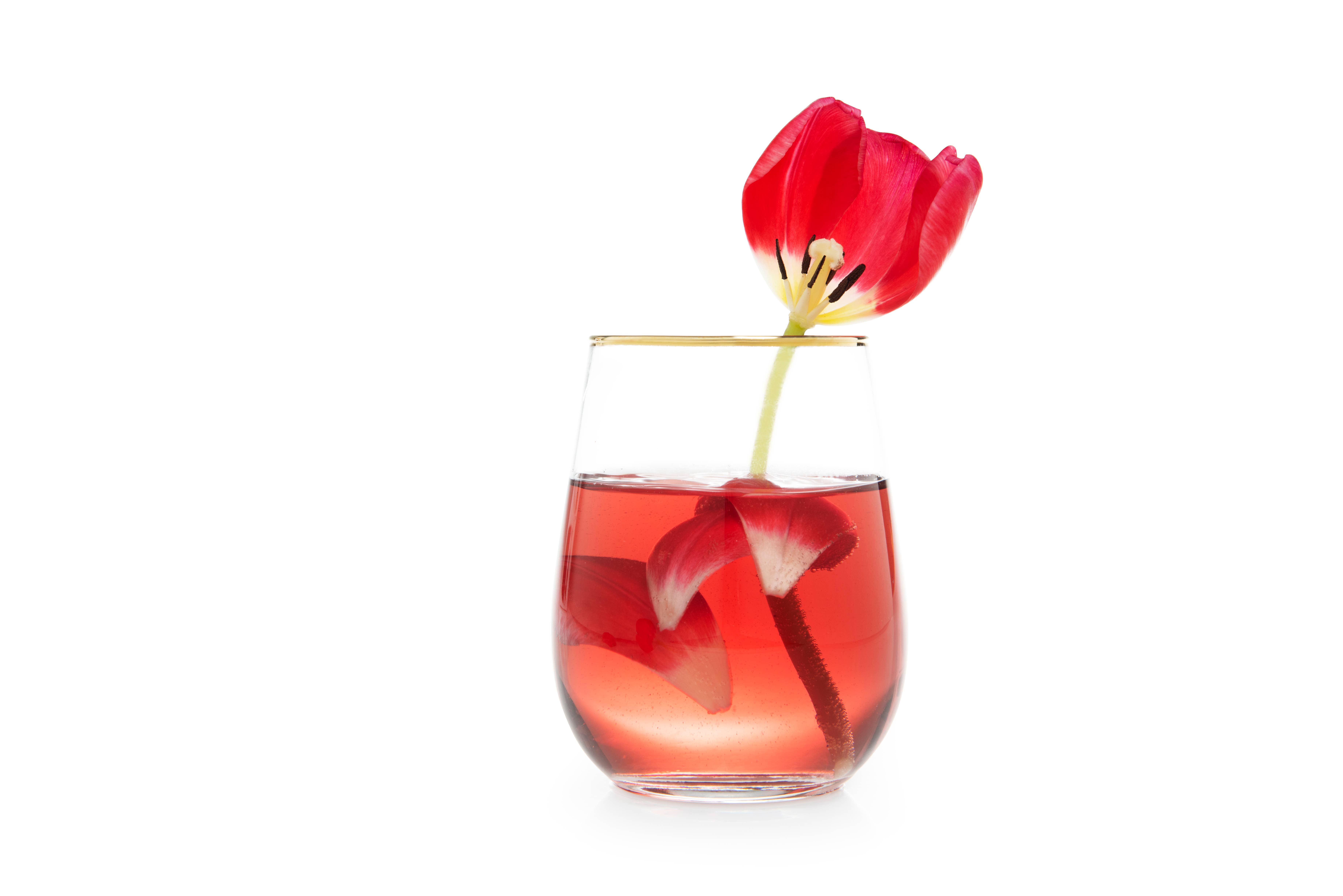 Set of 6 Gold Glasses CL 47 for wholesale on Faire2