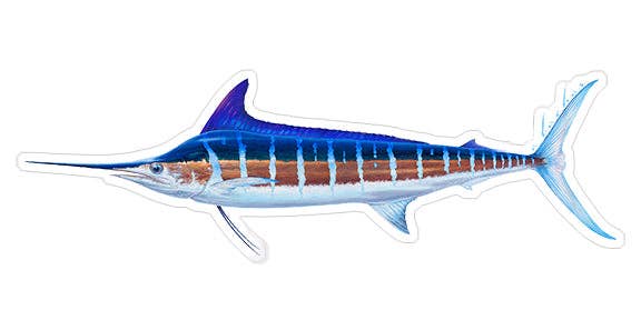 Studio Abachar - Wholesale Sticker - Striped marlin - 8.5"1