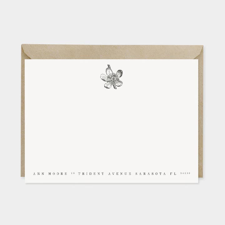 Cartões de notas botânicas Persica Vulgaris por atacado de The Design Craft