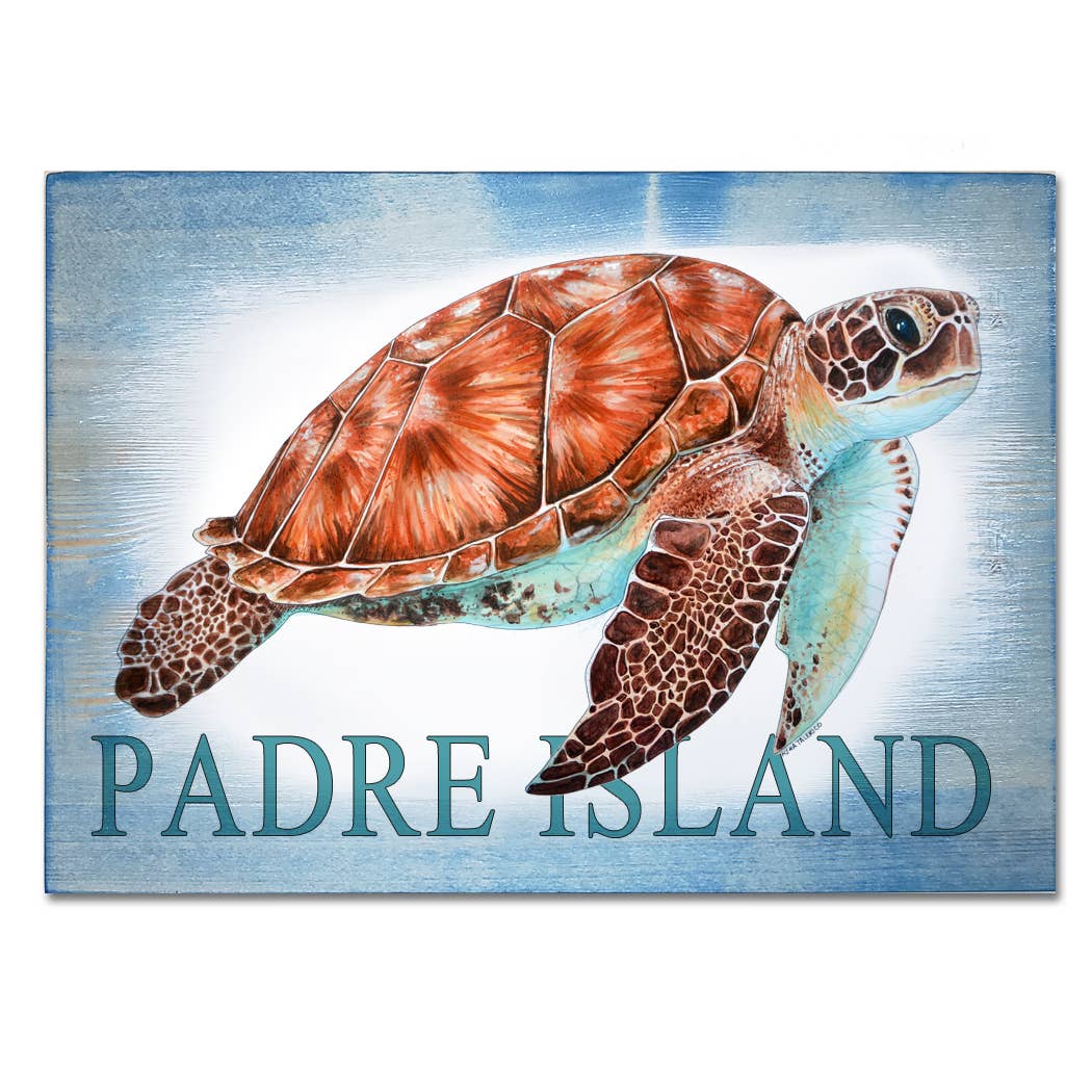 Map Mom - Wholesale Art Print - 11x16 Wood Plank Turtle - Custom Location1