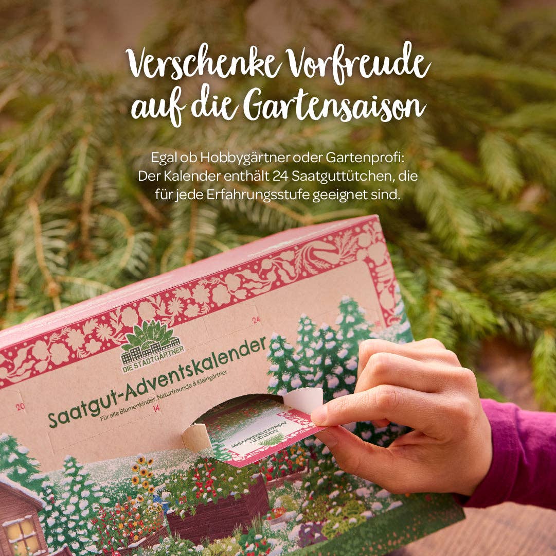 TDJ Stadtgärtner GmbH - Wholesale Advent Calendar - Seed advent calendar with door6