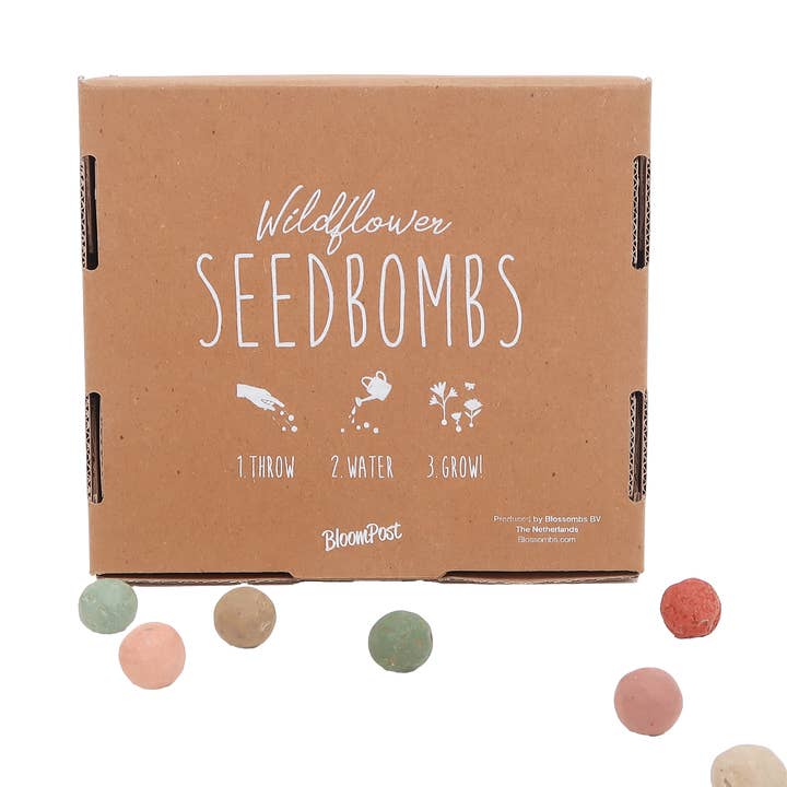 Oasis of Life - Wholesale Plant Seeds - Flower Seed Bombs – 9 handcrafted organic seed bombs – Mailbox-friendly – For garden, balcony & wild flower meadows0