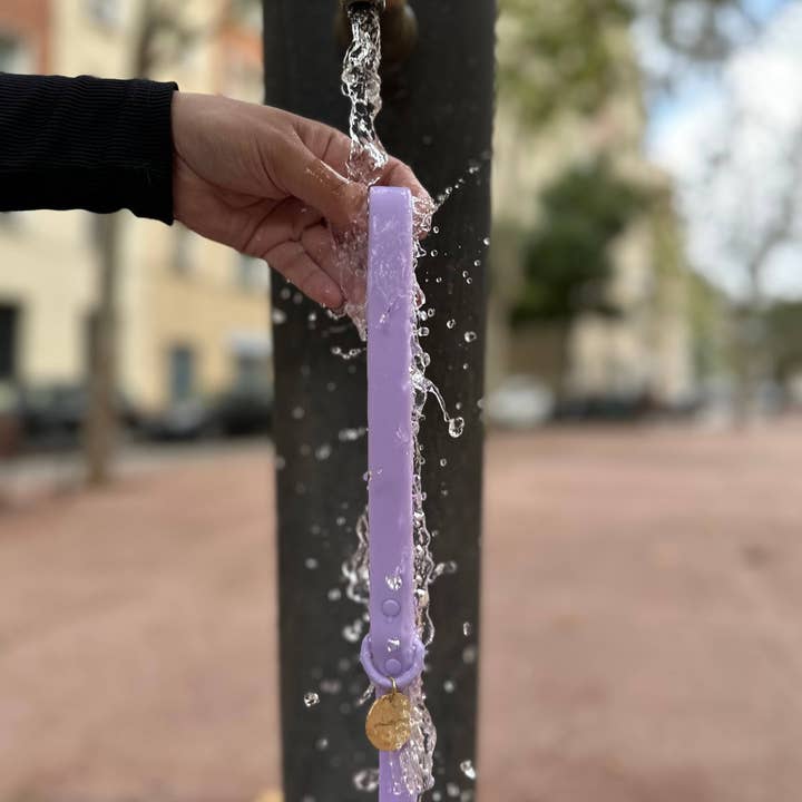 Wildbite Amantes Peludos - Wholesale Pet Leash - Dog - Violet Waterproof Strap3