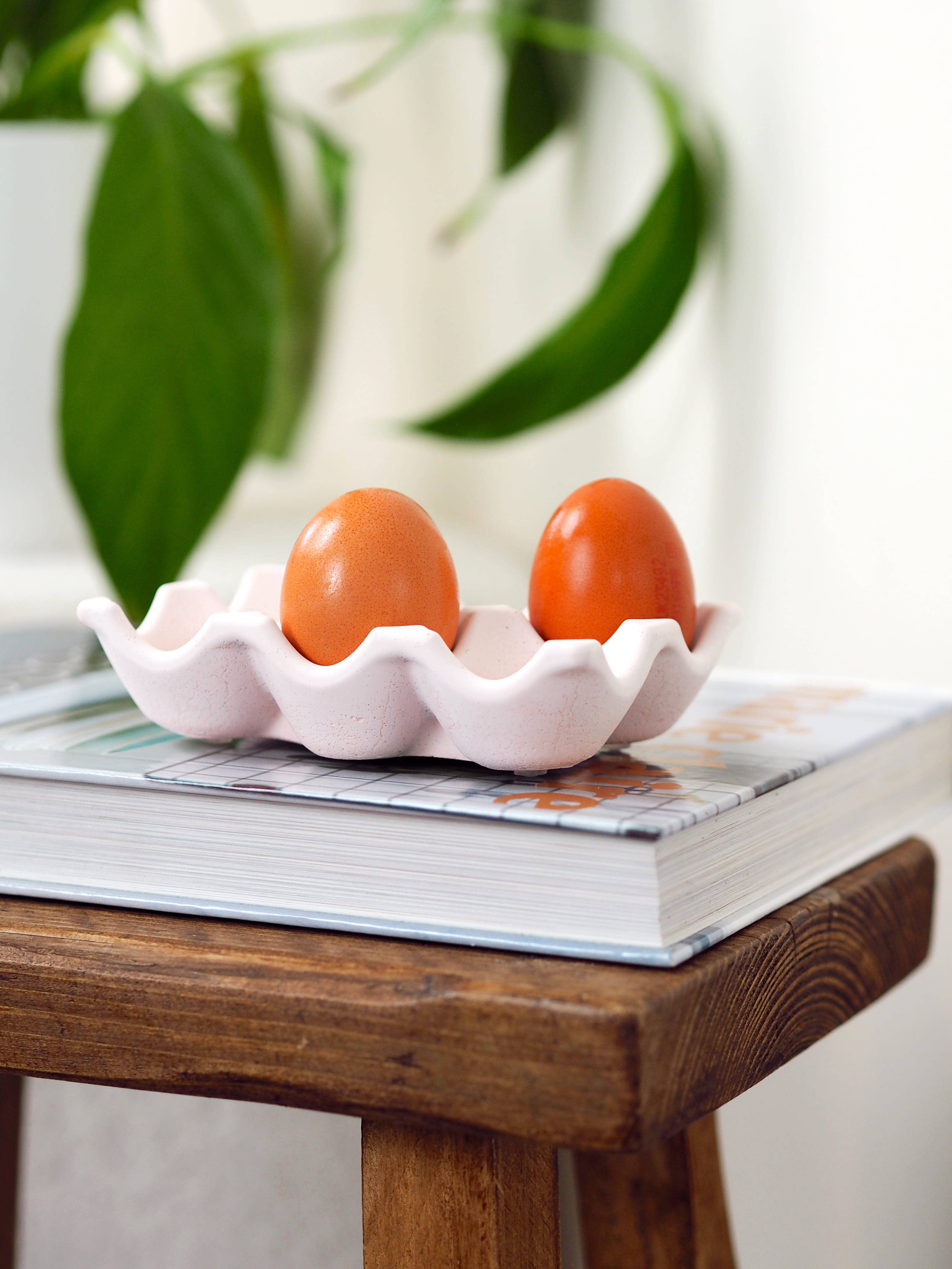 Feathered Oak - Wholesale Egg Cup/Holder - Concrete Egg Tray | Egg Storage8