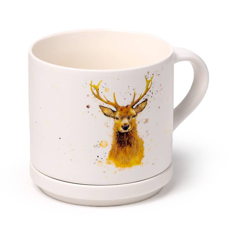 Puckator EU - Wholesale Coffee Mug - Jan Pashley Stag Porcelain Mug & Coaster Lid Set4