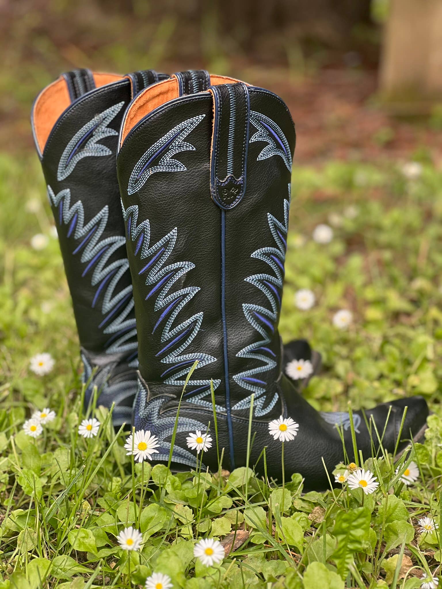 Desert Bloom Boots, LLC – wholesale Cowboystövlar - Dam – Vild Agave Onyx8