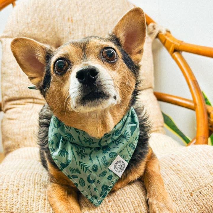 Green Camper Dog Bandana | Sage Minimal Camp Outdoor Pet Scarf for wholesale on Faire3