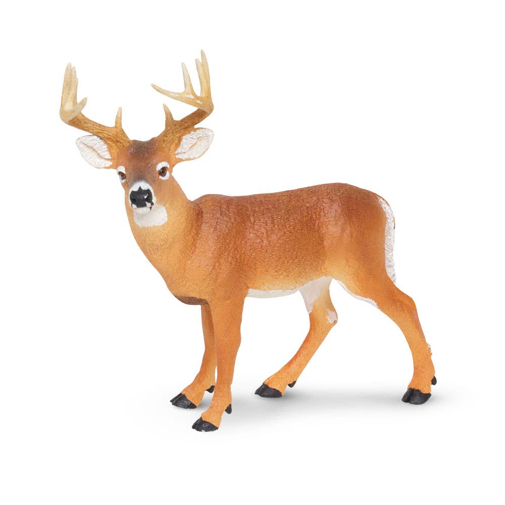 Safari Ltd. - Wholesale Figurine Toy - Kids - Whitetail Buck - 1800291