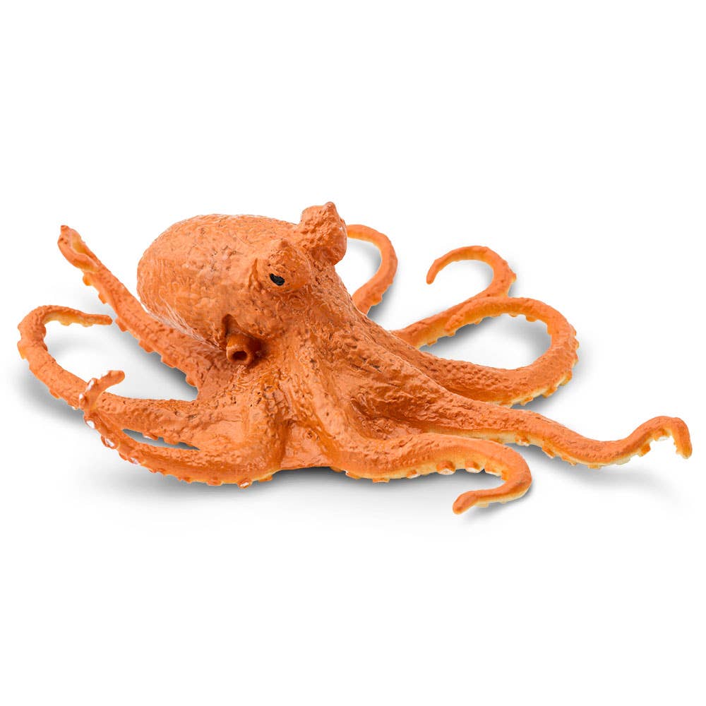 Safari Ltd. - Wholesale Figurine Toy - Kids - Octopus - 2744292