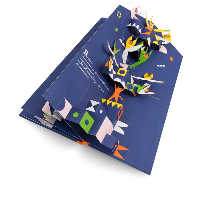 gestalten & teNeues - Wholesale Book - Kids - The Acrobat Family