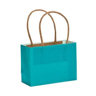 SMALL TURQUOISE CRAFT BAGS for wholesale by Fun Express