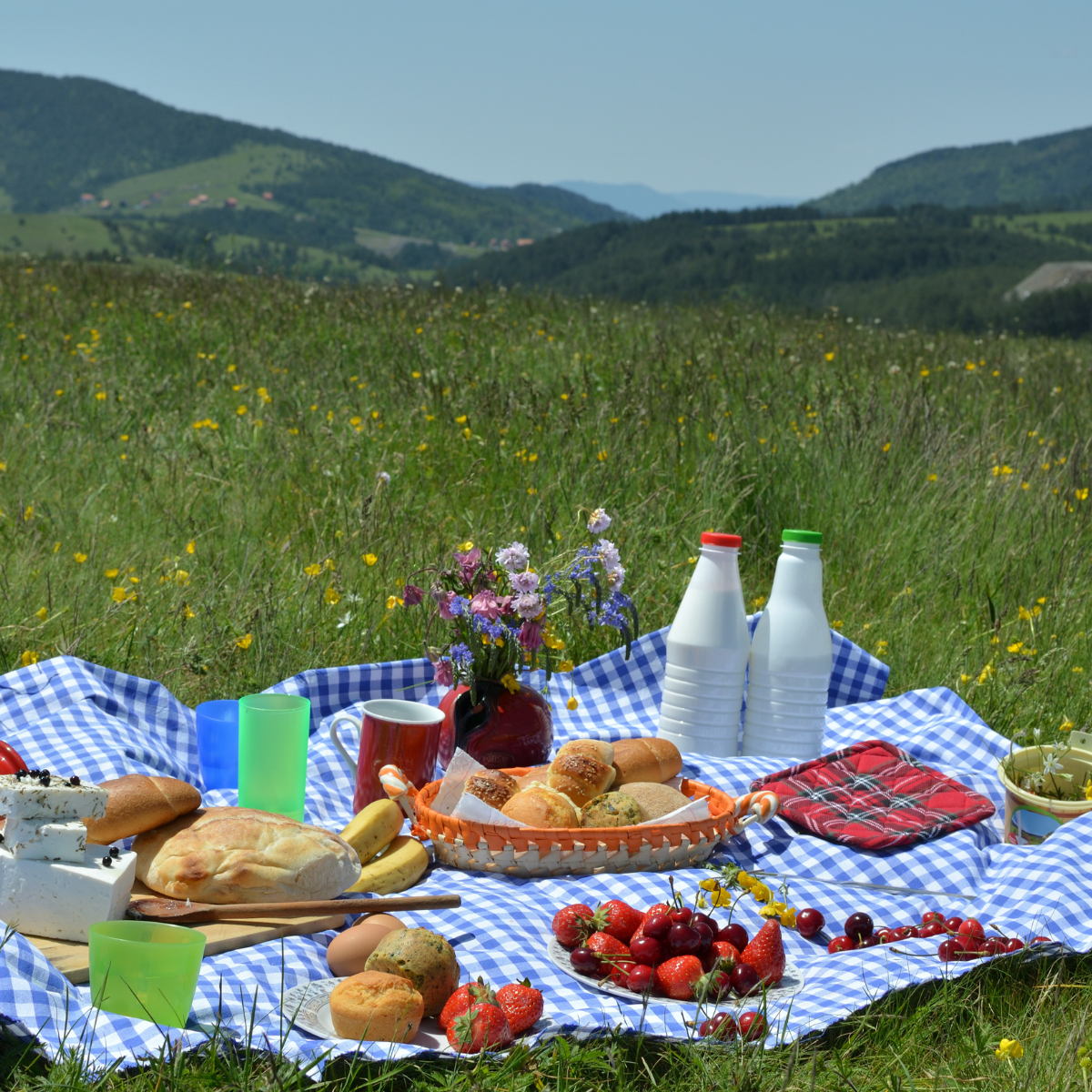 Rans - Wholesale Tablecloth - Rans Gingham Checked Tablecloths 5cm Hemming 100% Cotton2