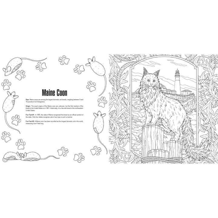 Penguin Random House LLC - Wholesale Coloring Book - Kids & Baby - Cats: A Smithsonian Coloring Book
