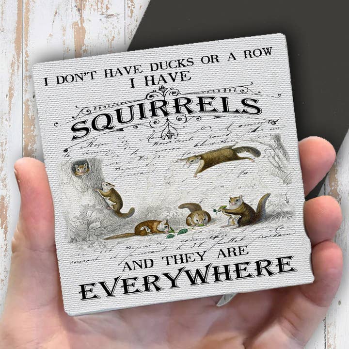 No tengo patos, tengo ardillas Imán de nevera para venta al por mayor de Avery Lane Gifts