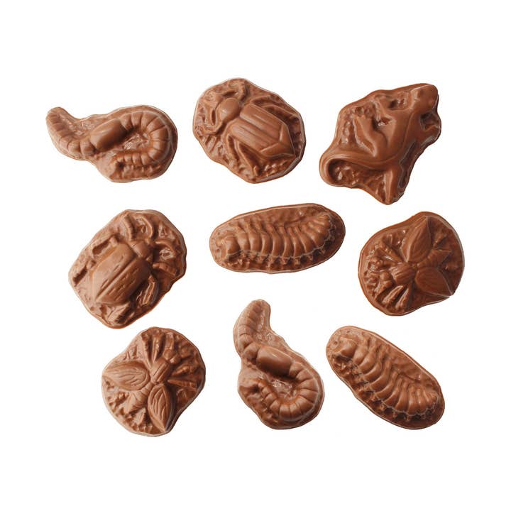 Bag of Chocolate Bugs for wholesale by Vermont Nut Free Chocolates