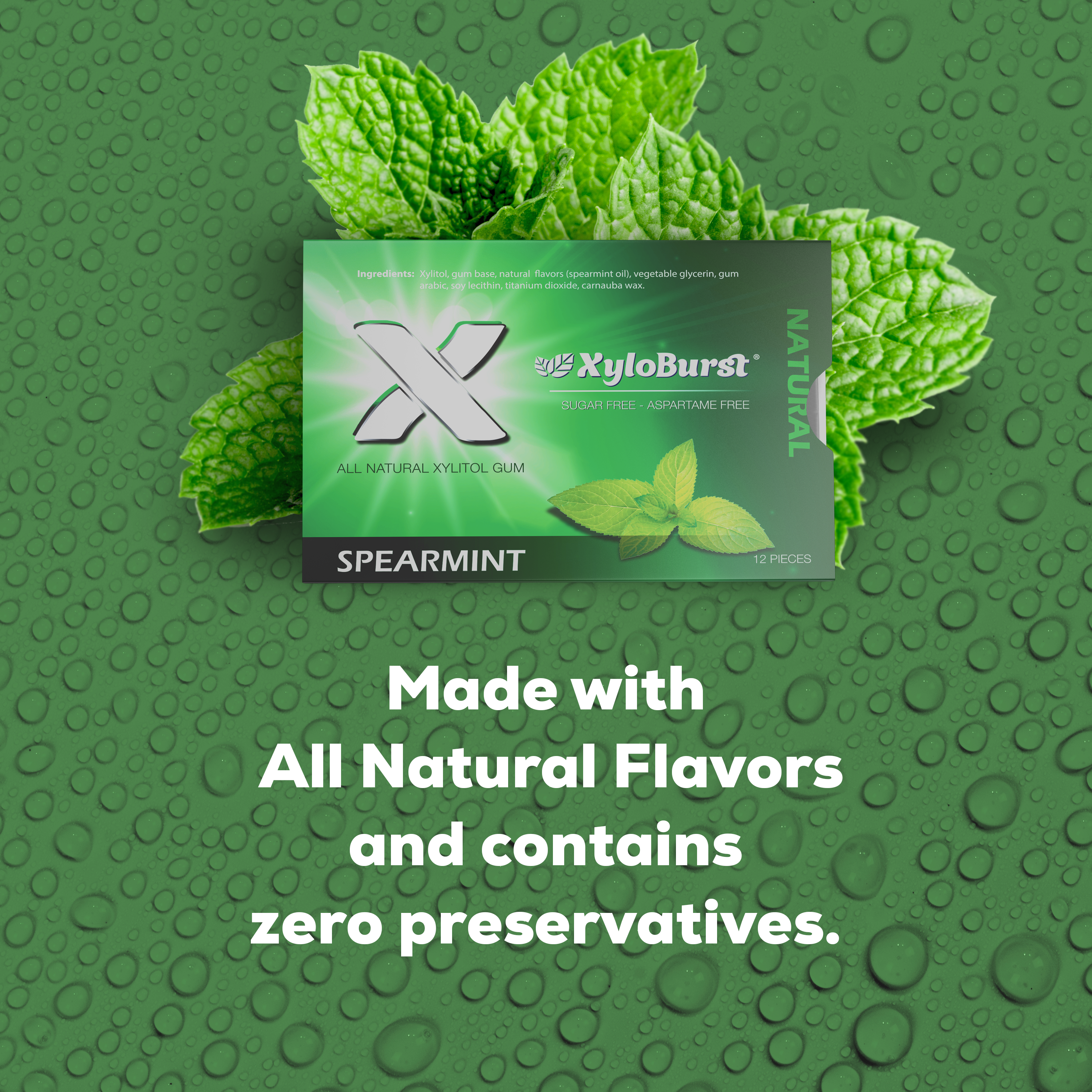 Focus Nutrition - Wholesale Chewing Gum - XyloBurst Spearmint Gum Blister Pack (Tray of 12 Cards)3