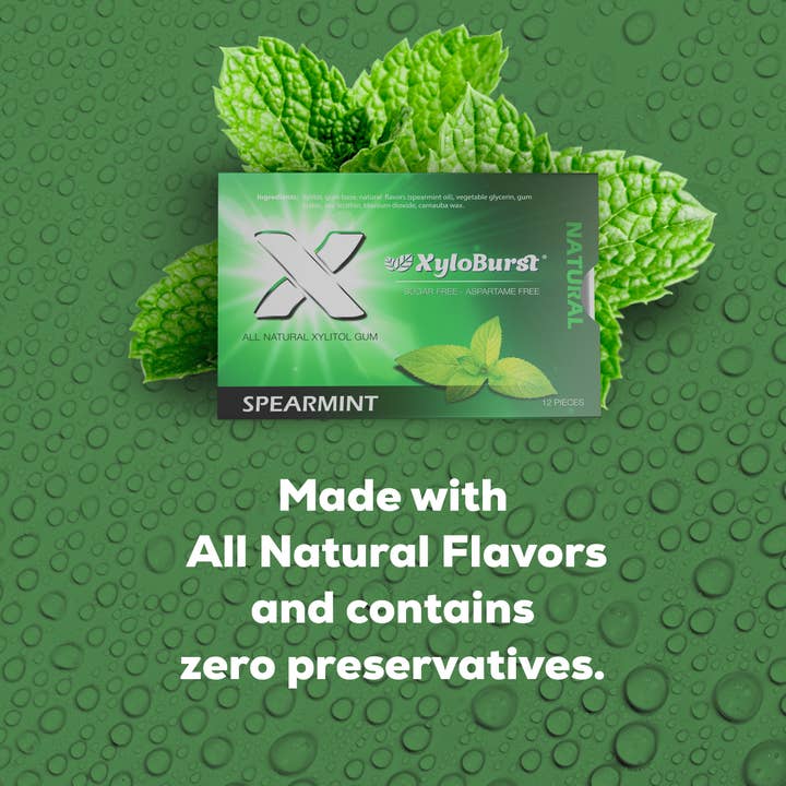 Focus Nutrition - Wholesale Chewing Gum - XyloBurst Spearmint Gum Blister Pack (Tray of 12 Cards)3