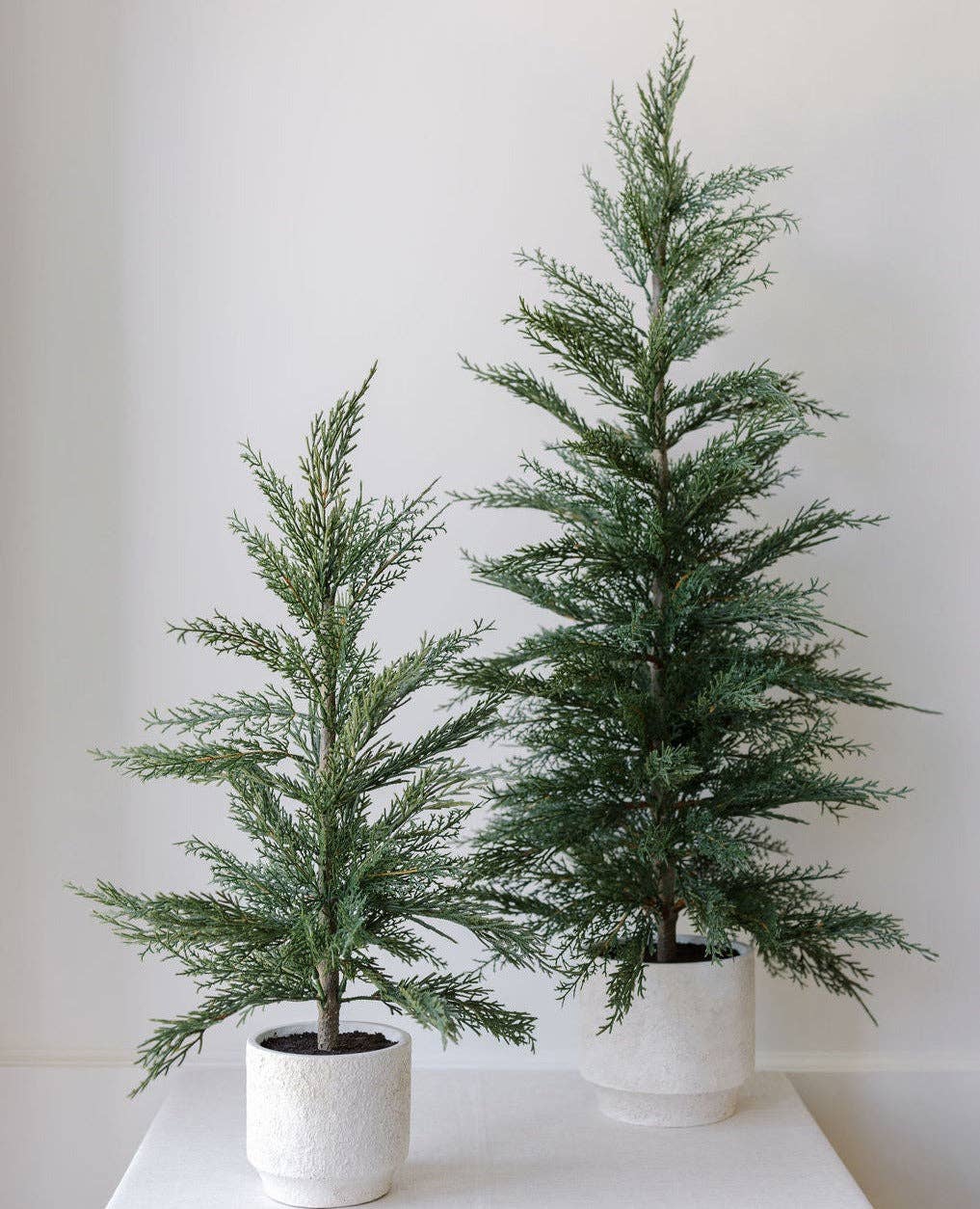 CG Hunter - Wholesale Artificial Plant - 24" / 2’ Artificial Evergreen Cedar Tree Set2