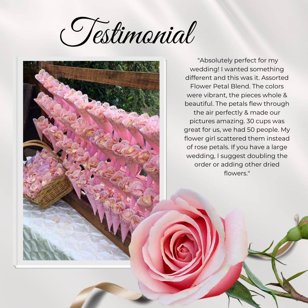 Flyboy Naturals Rose Petals - Wholesale Dried/pressed flowers - Bridal White/Ivory Freeze-Dried Rose Petals 30 Cups USA6