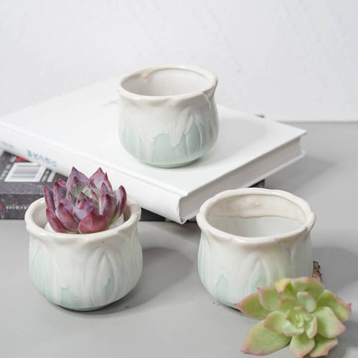 Springer Décor - Wholesale Plant pot - Small Cuties – Green Flower7