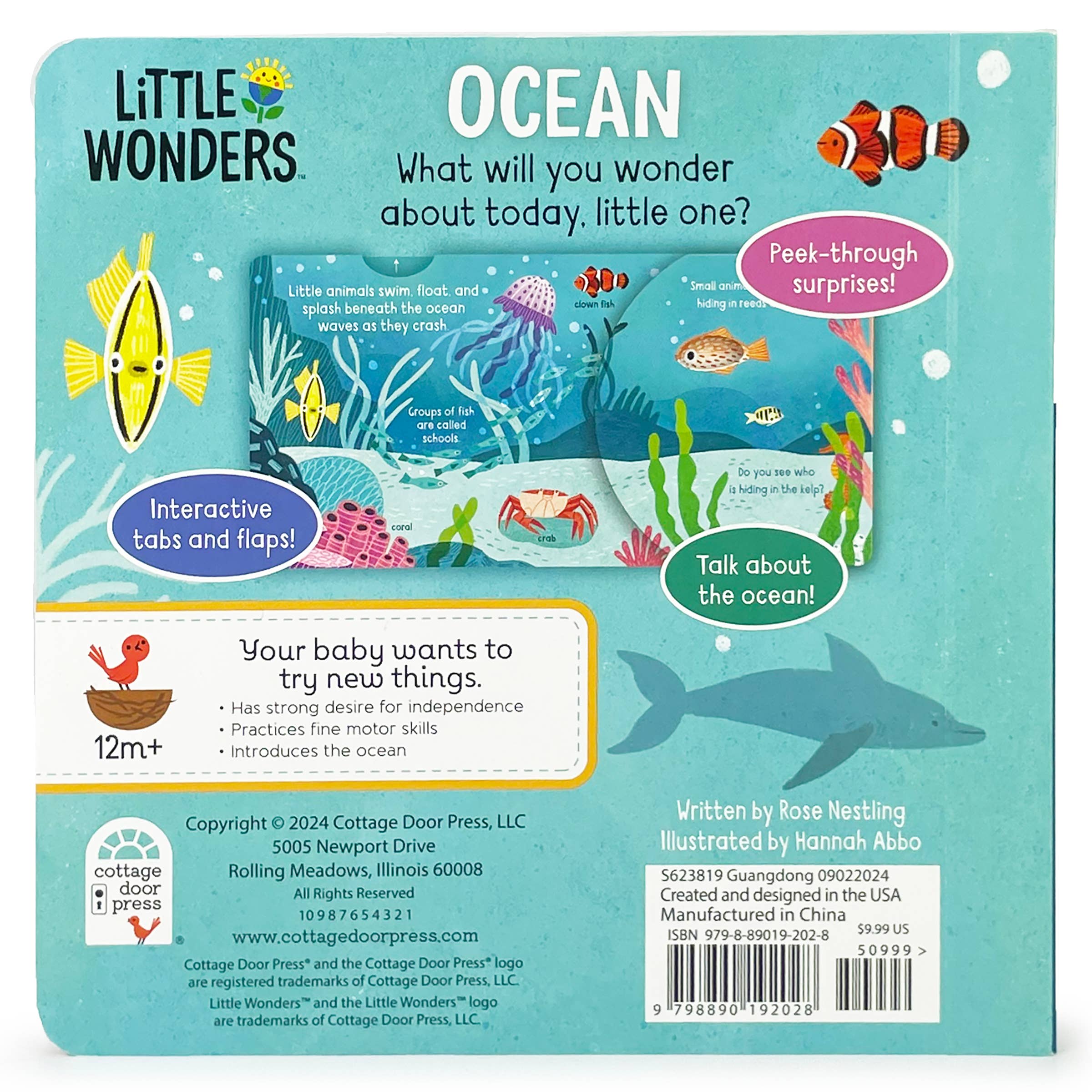 Cottage Door Press - Wholesale Baby & Toddler Book (0-2) - Little Wonders: Ocean Interactive Board Book4