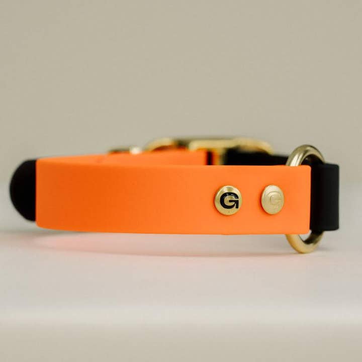 Collar para perro clásico - naranja brillante y negro (ancho 25 mm) para venta al por mayor de GULA DOG CARE