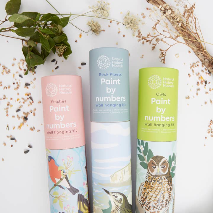 West Design Products – wholesale DIY craft kit – Natural History Museum Paint By Numbers Owls Hanging Kit5