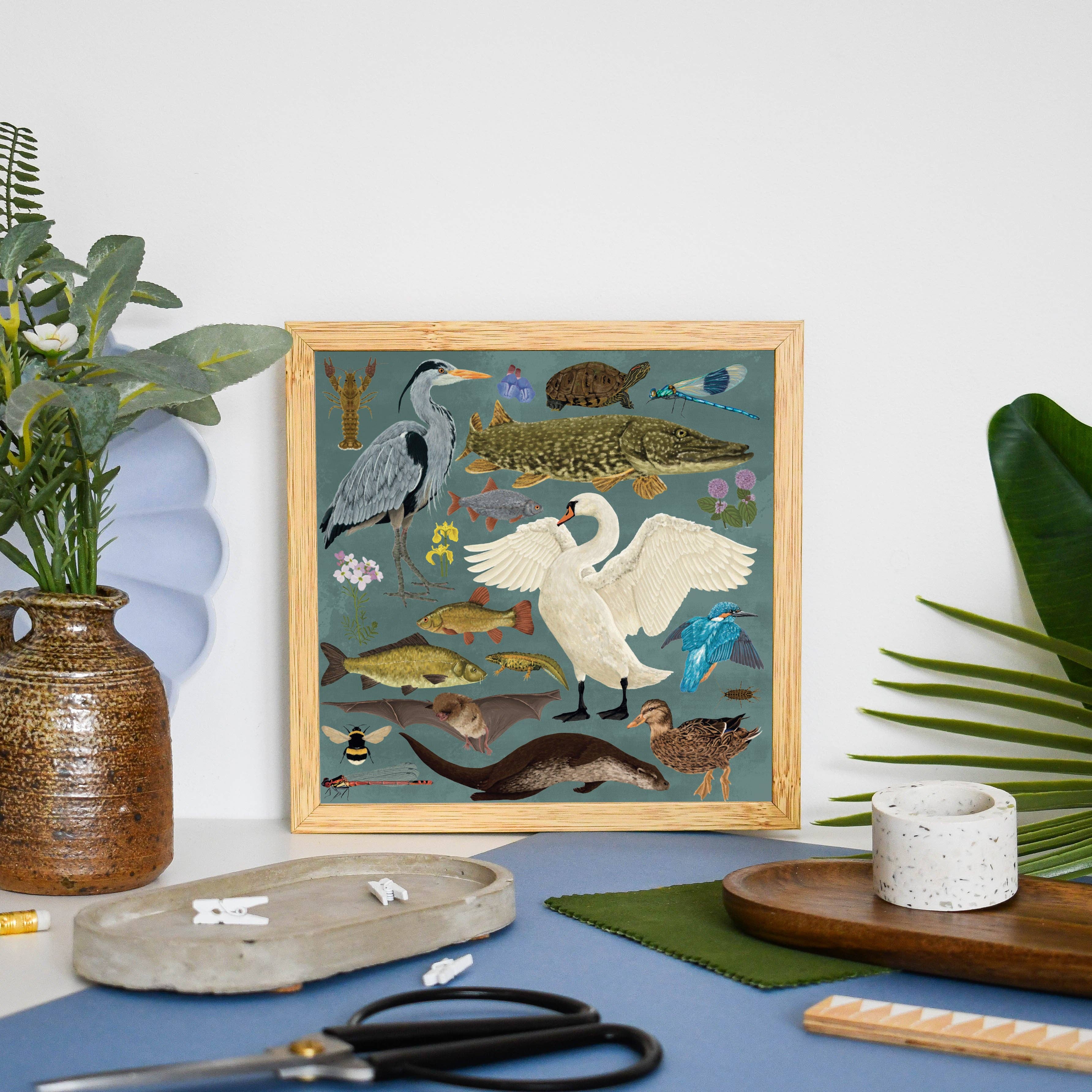 Ferne Creative - Wholesale Art Print - British Waterway Wildlife Print4