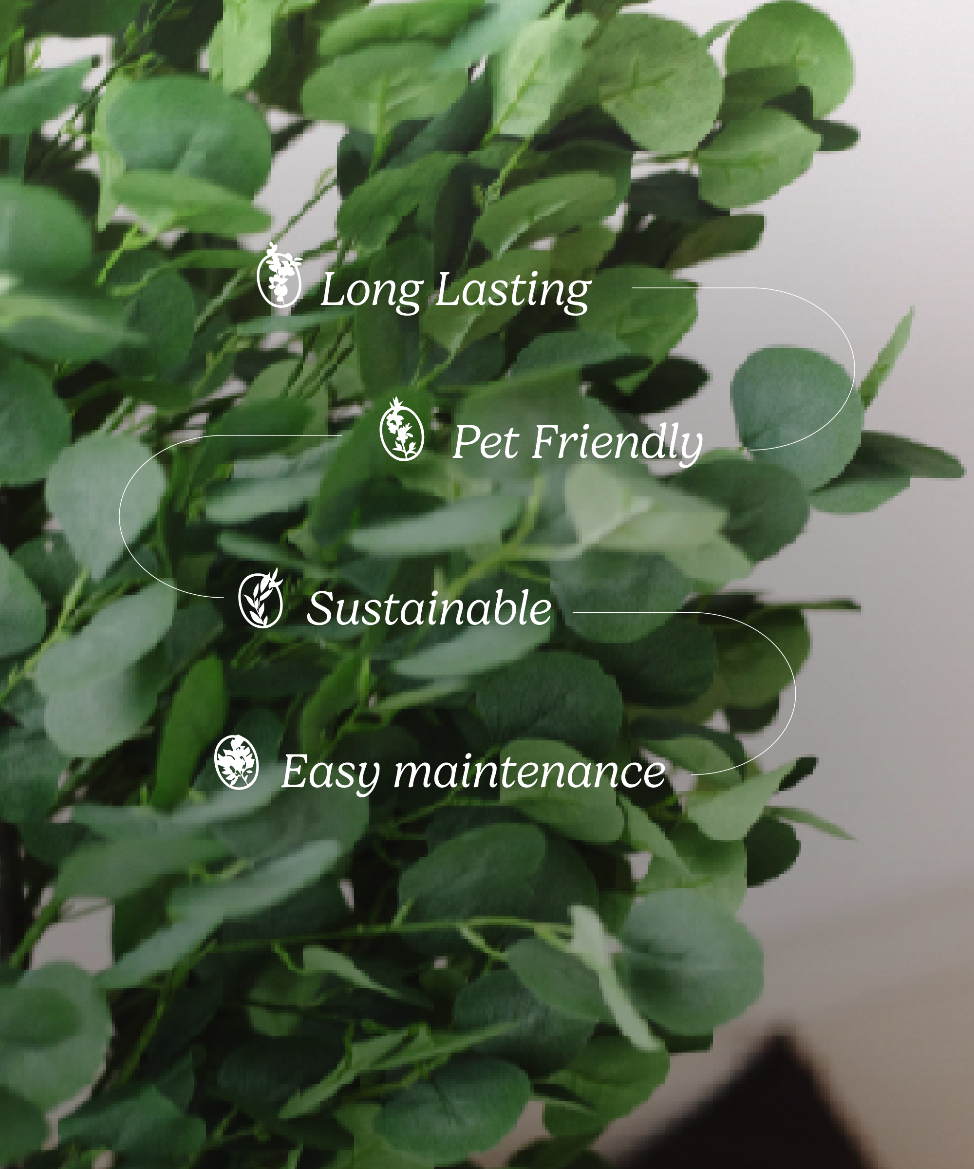Maia Shop - Vente Plantes artificielles - Eucalyptus Artificiel 180 cm5