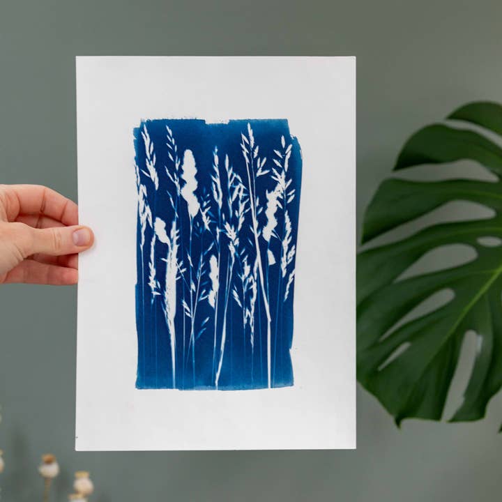 The Wild Darkroom – wholesale DIY craft kit – Cyanotype Printing Paper A47