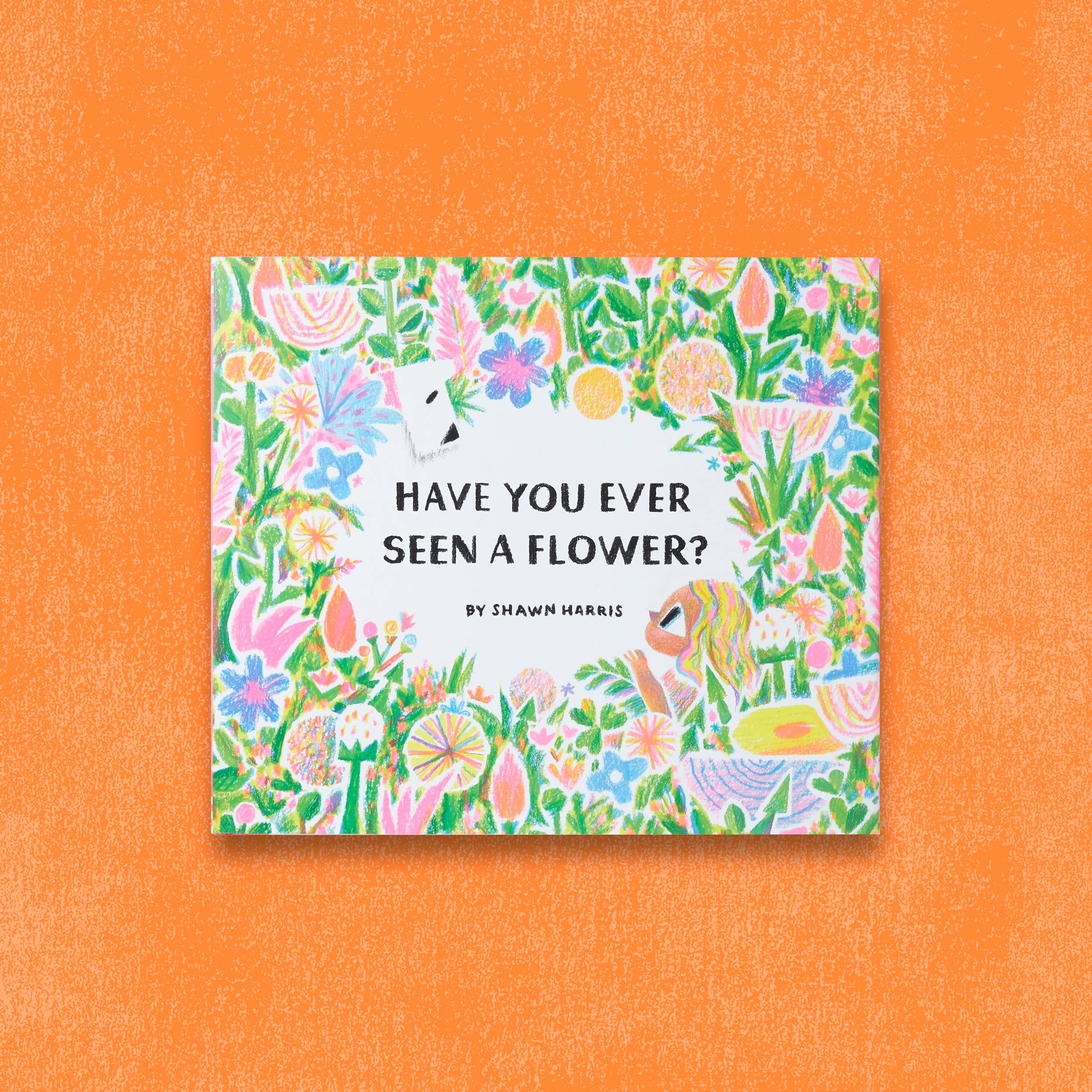 Chronicle Books - Wholesale Preschool Book (3-5) - Have You Ever Seen a Flower?10